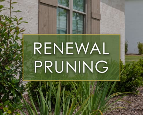 R&R Landscaping Auburn, AL lawn yard landscape architecture architect lee county