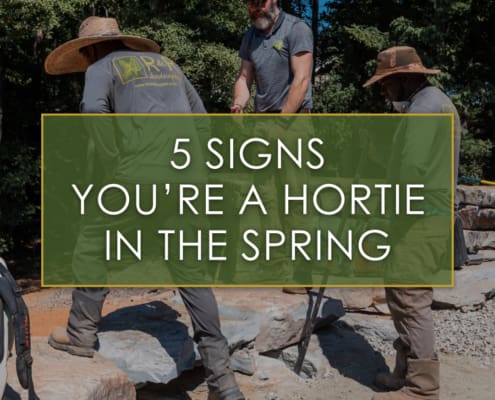 Five signs that you are a hortie in the spring, a blog by R&R Landscaping