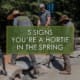 Five signs that you are a hortie in the spring, a blog by R&R Landscaping