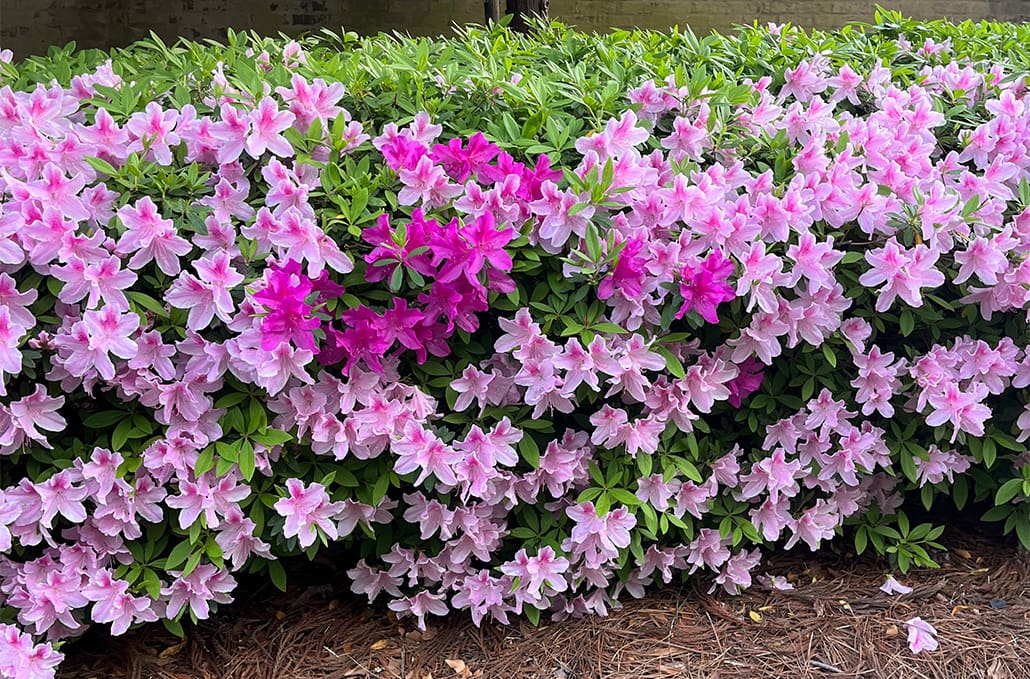 A beautiful landscaping project built by R&R Landscaping