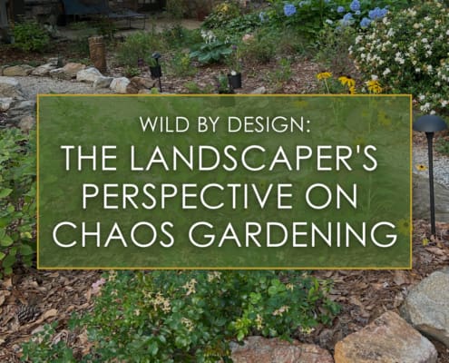 Wild by design, the landscaper's perspective on chaos gardening, a blog post by R&R Landscaping