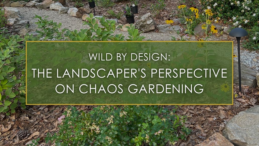 Wild by design, the landscaper's perspective on chaos gardening, a blog post by R&R Landscaping