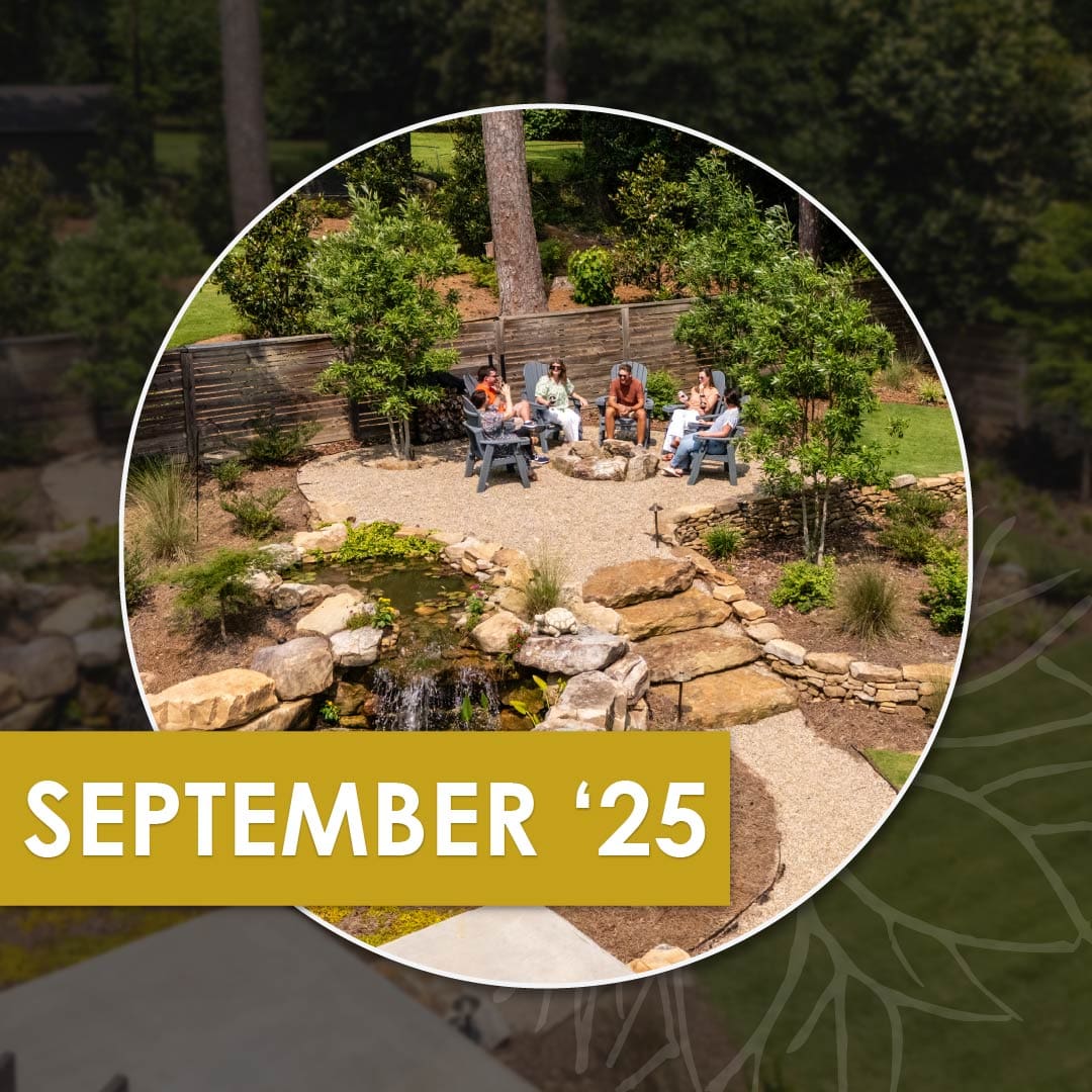 A Backyard Escape and Microclimates, an insightful newsletter from R&R Landscaping