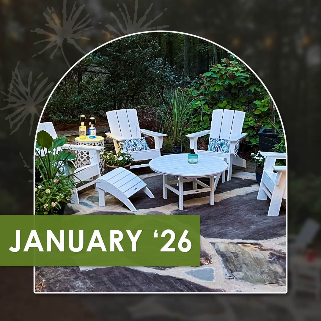 A Garden Pathway Transformation, Beat the Winter Blues, and a Happy New Year!, a monthly newsletter from R&R Landscaping
