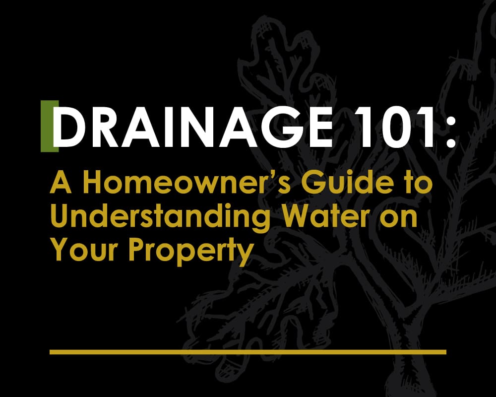 Drainage 101: a homeowner's guide to understanding water on your property, a free downloadable guide from R&R Landscaping.