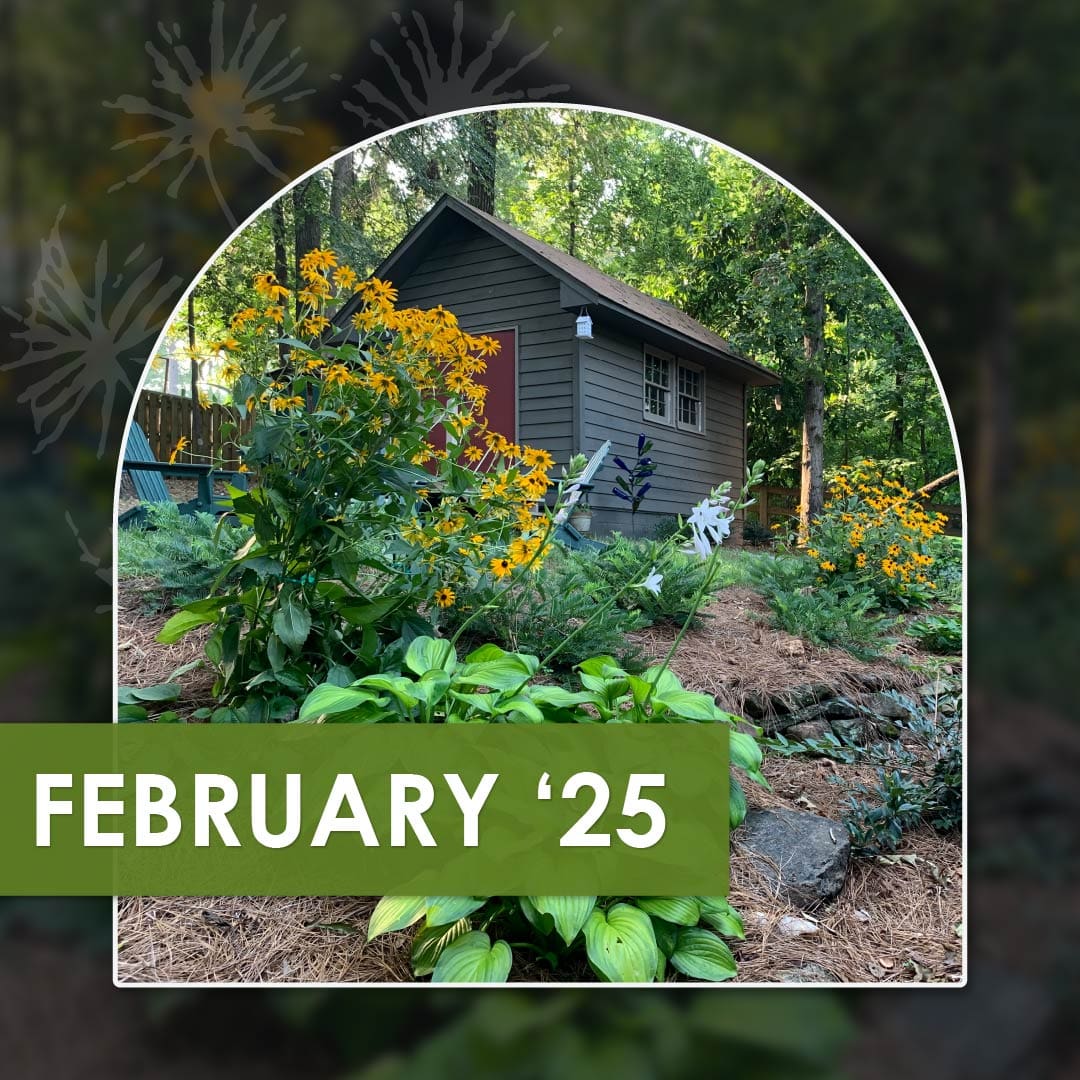 Details Most People Miss and a Serene Outdoor Retreat, the latest newsletter from R&R Landscaping.