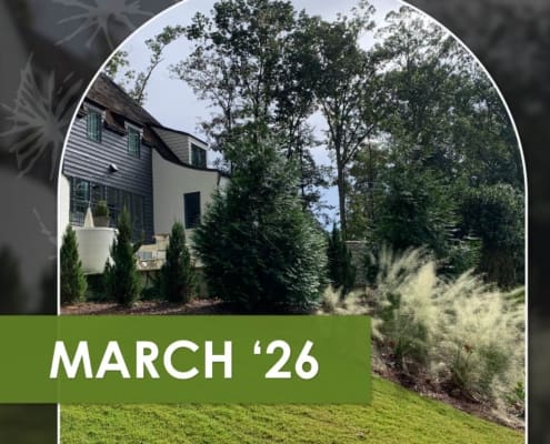 You Don't Hire us for Plants and a Lake Cabin for Gathering, the latest monthly newsletter from R&R Landscaping