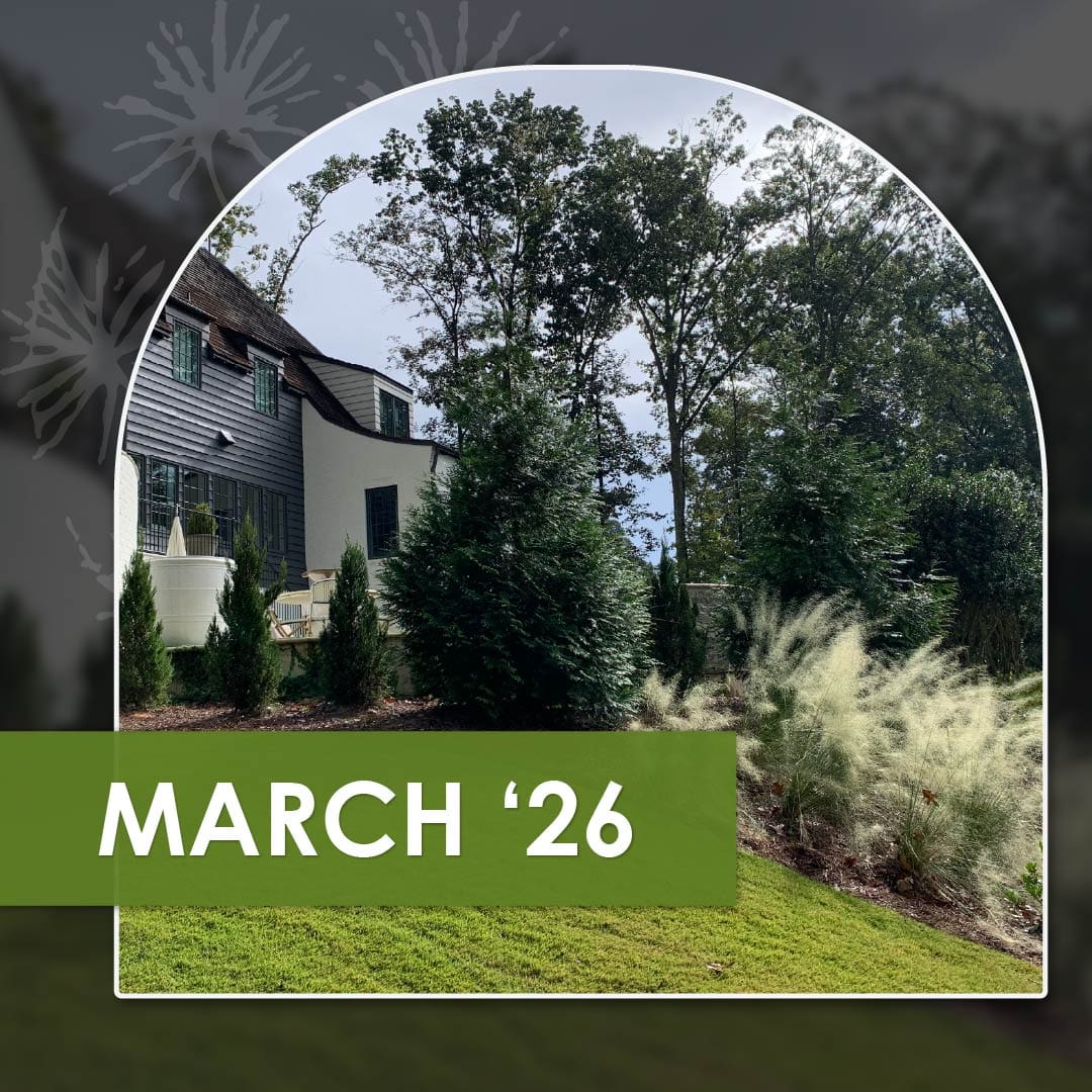 You Don't Hire us for Plants and a Lake Cabin for Gathering, the latest monthly newsletter from R&R Landscaping