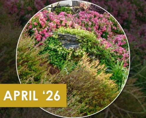 Outdoor Spaces Made for Gathering (and Great Food), the latest monthly newsletter from R&R Landscaping
