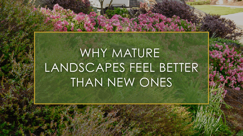 Why Mature Landscapes Feel Better Than New Ones, a new blog post from R&R Landscaping