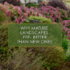 Why Mature Landscapes Feel Better Than New Ones, a new blog post from R&R Landscaping