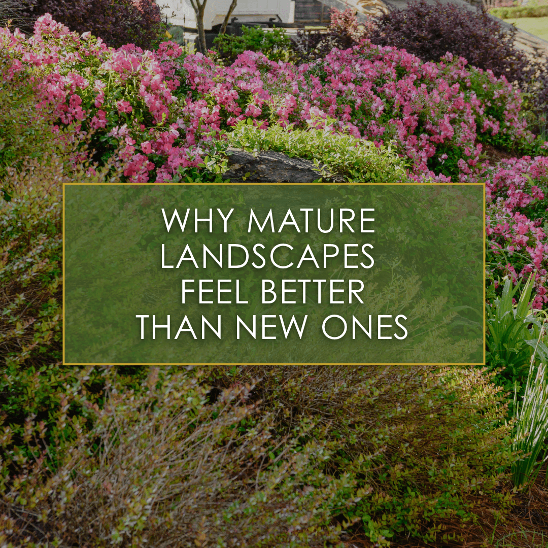 Why Mature Landscapes Feel Better Than New Ones, a new blog post from R&R Landscaping