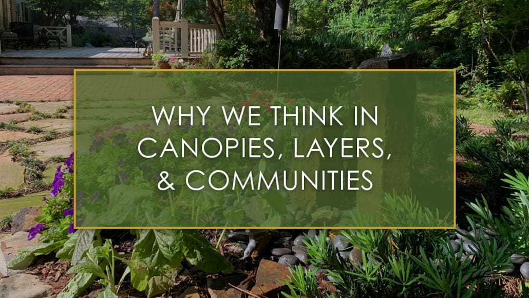 Why We Think in Canopies, Layers, and Communities, a new blog post from R&R Landscaping.
