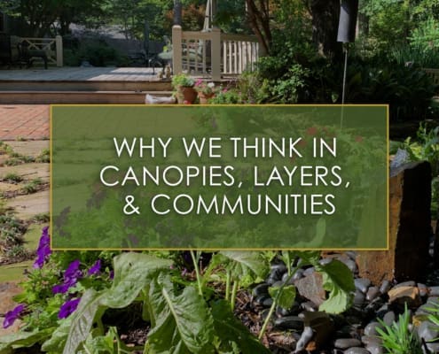 Why We Think in Canopies, Layers, and Communities, a new blog post from R&R Landscaping.