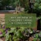 Why We Think in Canopies, Layers, and Communities, a new blog post from R&R Landscaping.
