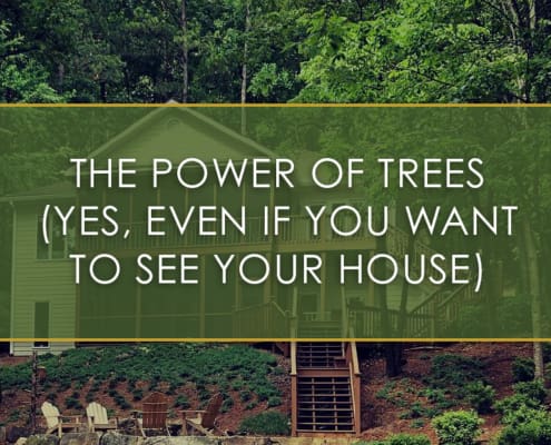 The Power of Trees