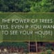 The Power of Trees