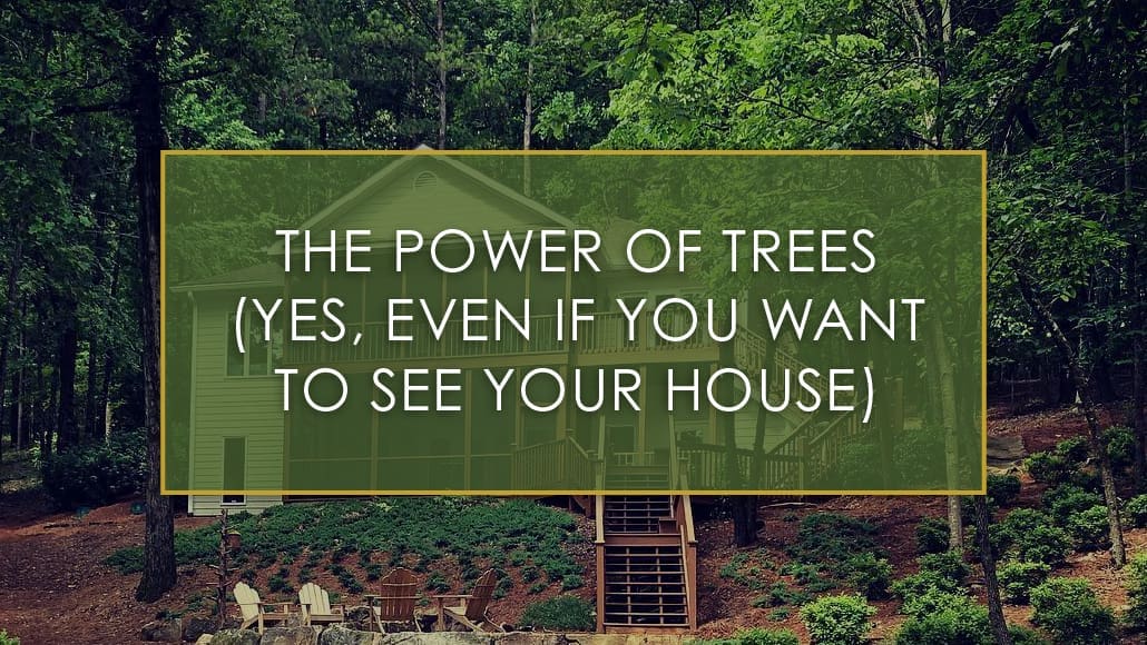 The Power of Trees