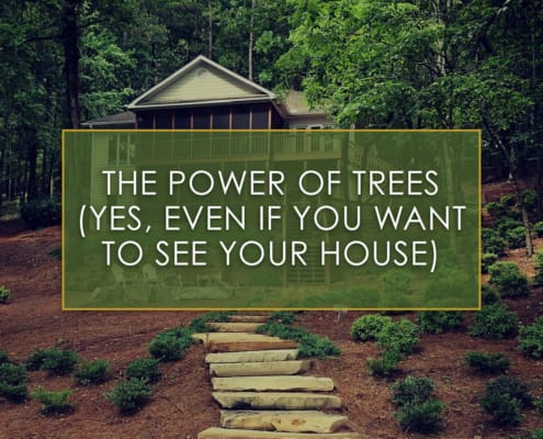 The Power of Trees