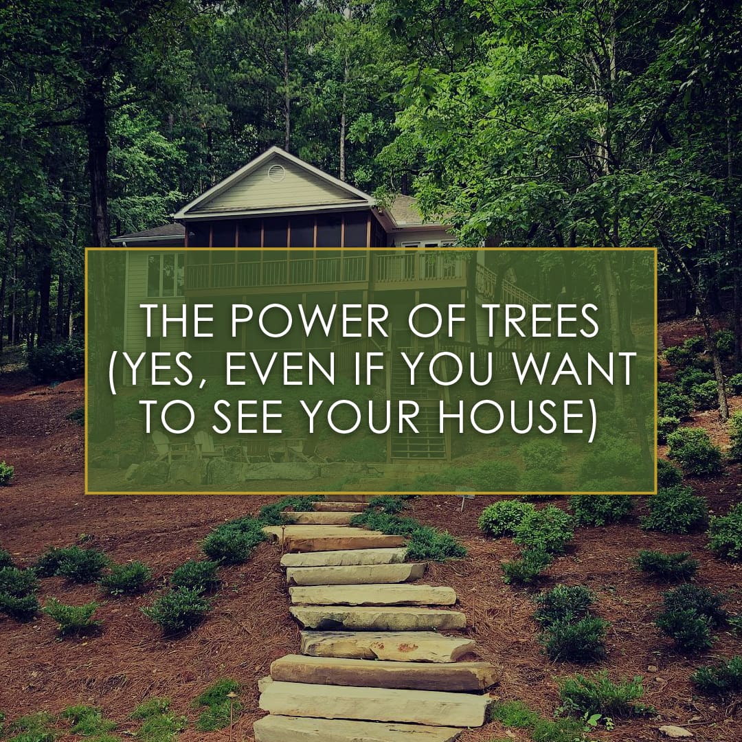 The Power of Trees